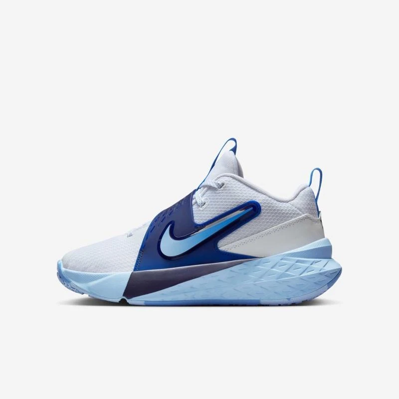 Basquetbol Nike Team Hustle D 11 (34 al 38)