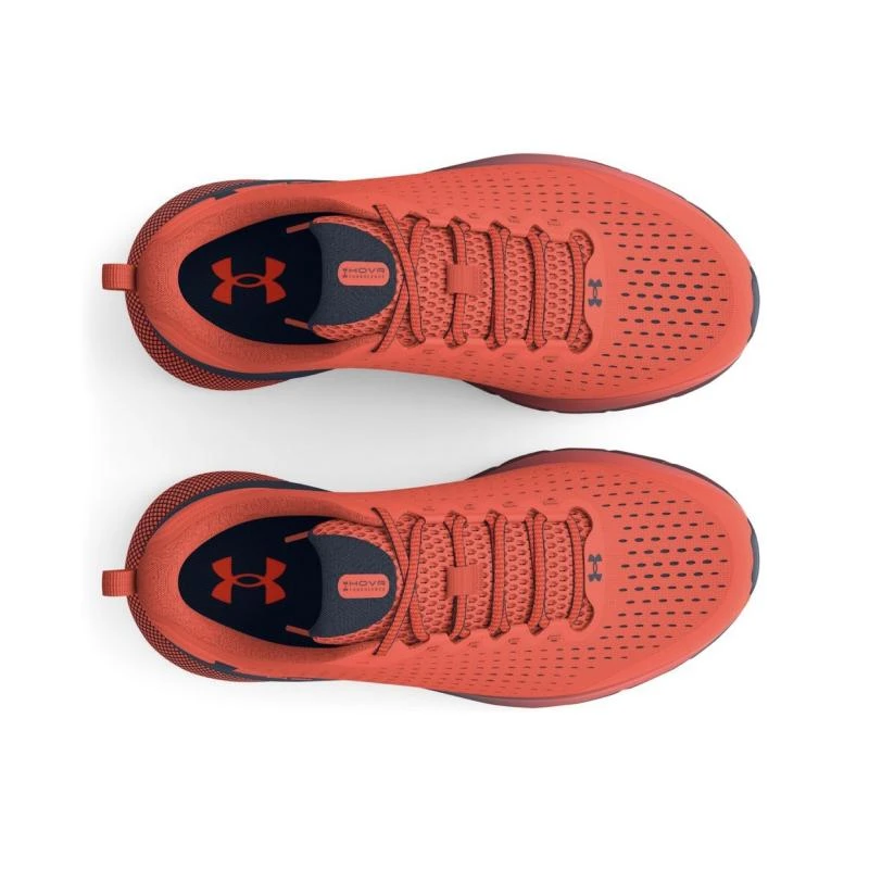 https://infinitysport.s3.amazonaws.com/products/ee88853e-1626-4a90-97a6-95e8e575067f.webp